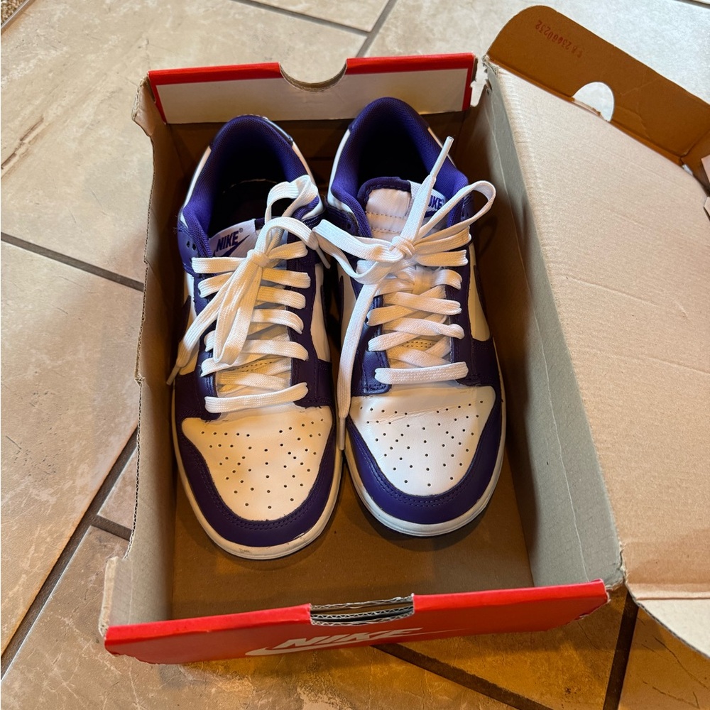 Nike Dunk Low Retro in Court Purple and White